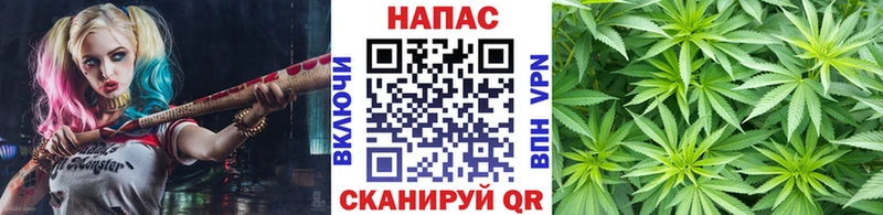 Какие есть наркотики Покров Канабис ссылка на мегу маркетплейс МЕФ