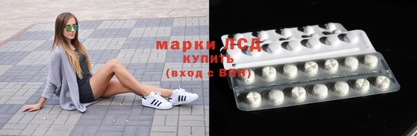 мяу мяу мука Аркадак