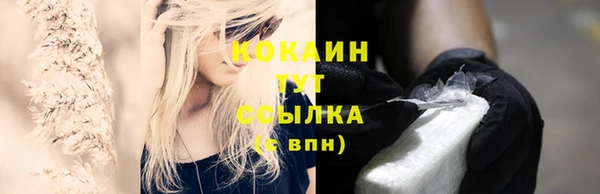 мяу мяу мука Аркадак