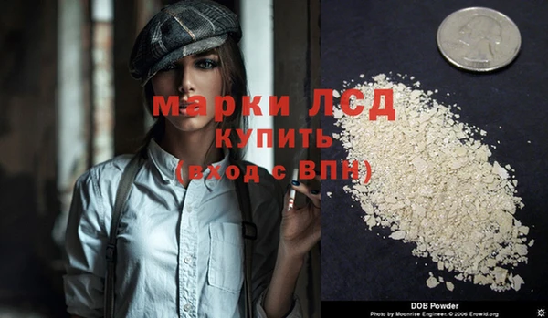 мяу мяу мука Аркадак