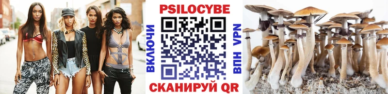 blacksprut tor  Покров  Псилоцибиновые грибы прущие грибы  где купить наркотик 